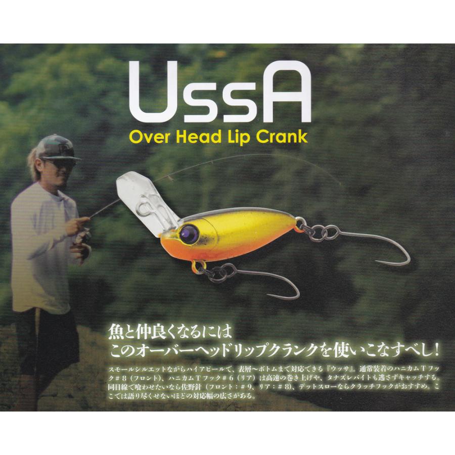 Rodio Craft（ロデオクラフト） ウッサXS ラトルインモデル : ウインズ