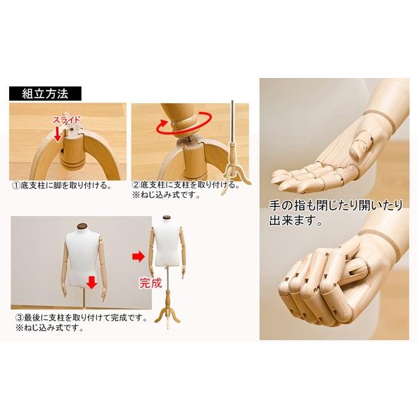 トルソー 男性用 メンズ アームあり 腕付き 手 顔なし 首無し マネキン