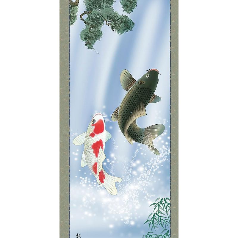 端午の節句掛軸 (掛け軸) 夫婦滝昇鯉 森山観月 （尺五立）約横54.5×縦