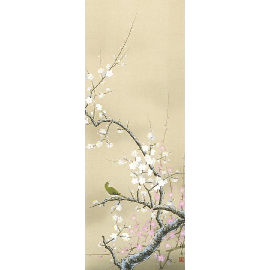 掛軸 (掛け軸) 春用 紅白梅に鶯 北条静香 尺五立 約横54.5cm×縦190cm
