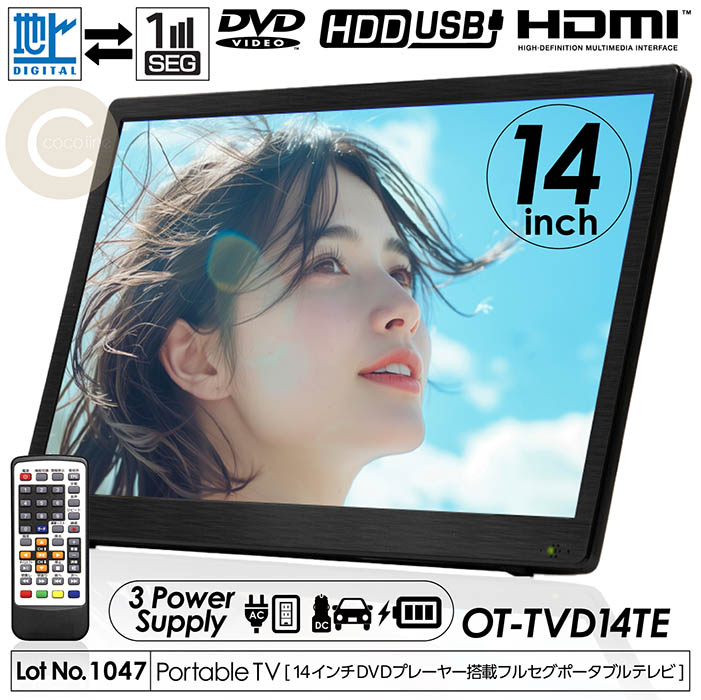 Panasonic UN-10CN10 VIERA プライベート・ビエラ ポータブルテレビ