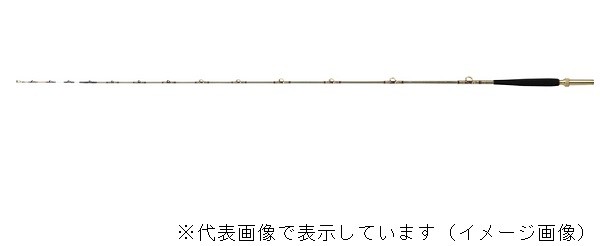 DAIWA（釣り） マッドバイパー 落とし込み H/HH-245SMT 釣り 船竿 - 最