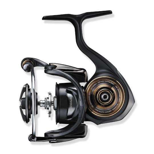 DAIWA（釣り） 19 セルテート LT3000S-CH-DH スピニングリール - 最
