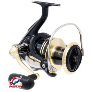 DAIWA（ダイワ） ウインドサーフ 35 細糸 / リール / 釣具 / daiwa
