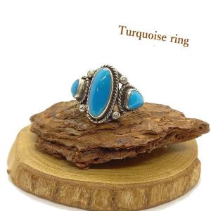 Gary Reeves ナバホ族 リング コーラル ゲーリーリーブス ゲイリー