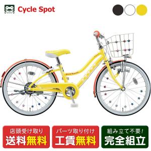 BRIDGESTONE（ブリヂストン） 子供自転車 エコパル20 20インチ [EPL001