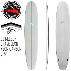 2023 CJ NELSON SPROUT 9'6 XEONFIBER / CJネルソン スプラウト ジオン