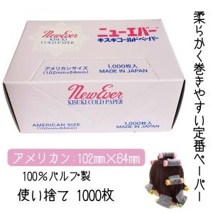 エバーメイト 美容室 理容室 プロ用 パーマ ペーパー キスキメッシュ