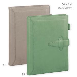 ダ・ヴィンチ 【送料無料(本州のみ)】レイメイ藤井 DSA4051C システム