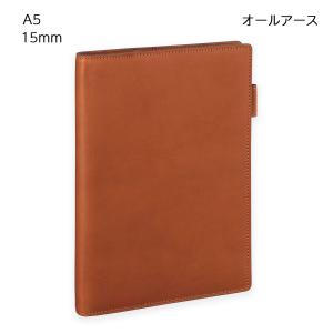 ダ・ヴィンチ 【送料無料(本州のみ)】レイメイ藤井 DSA4051C システム