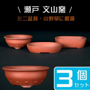 盆栽鉢 植木鉢 「平安泉山辰砂釉星結晶楕円鉢」 山草鉢 清水焼 京焼