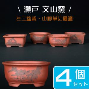 盆栽鉢 植木鉢 「瀬戸焼文山窯赤釉小鉢4点セット」 色鉢 3号 9cm