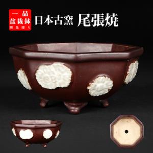 盆栽鉢 鍋島焼染付胴紐丸鉢 植木鉢 蘭鉢 伊万里 ナベシマ 呉須 8号