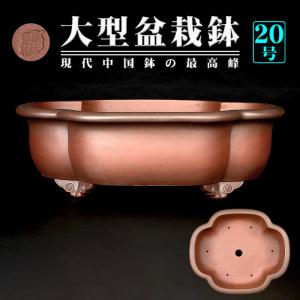 盆栽鉢 紫泥外縁下紐楕円鉢 植木鉢 中国鉢 張氏製陶 落款あり 15号