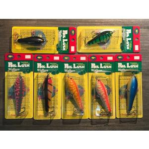 スポーツザウルス ビッグラッシュスケーター ・新古品 : GIZMO ヤフー