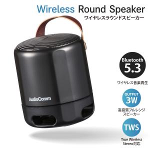 MASSIVE OE233IIW オースミ電機 天井埋込スピーカシステム ロー／ハイ