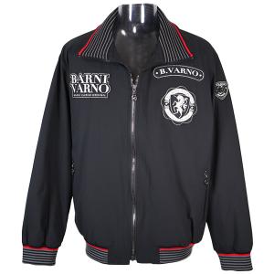 CASTELBAJAC（カステルバジャック） L(48) 30%OFF ダウンジャケット