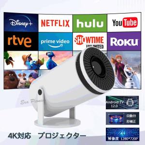 DN2800WSG5E 環境対応 100BASE-TX/FX メディアコンバータ 大電 : SOHO