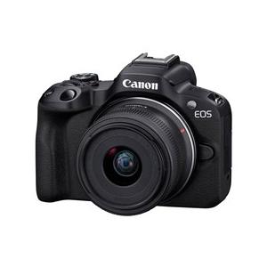 2026年2月】Nikon D90（デジタル一眼レフカメラ）（センサーサイズ