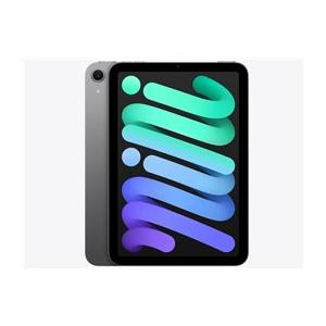 iPad mini 【あすつく、土日、祝日発送、店舗受取可】新品未開封品【N