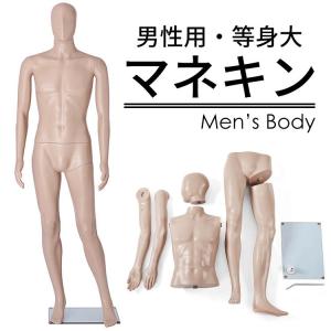 ストア・エキスプレス マネキン トルソー メンズ 男性_軽量ABS製 紳士