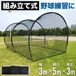 エスエスケイ（SSK） ファイバーティーバッティング用ネット ネット