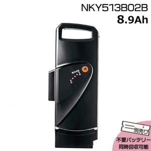 Panasonic（パナソニック） ＊1営業日発送＊ 新品 純正品 NKY491B02B