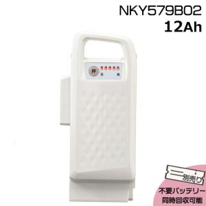 Panasonic（パナソニック） ＊1営業日発送＊ 新品 純正品 NKY578B02