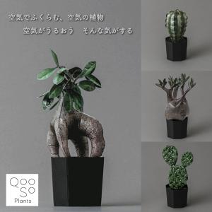 スワロフスキー Swarovski 2001年 廃盤品 『サボテン, Rosaline