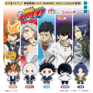 1月予約】 家庭教師ヒットマンREBORN! ちびぐるみvol.1 各種※大幅な