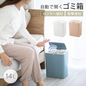 ポップアップ オーガナイザー 折り畳み式 トランク コンパクト 収納