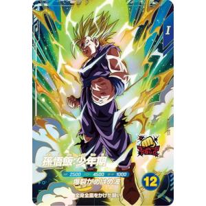 スーパードラゴンボールヒーローズ MM4-016 DA パラレル SR 孫悟飯