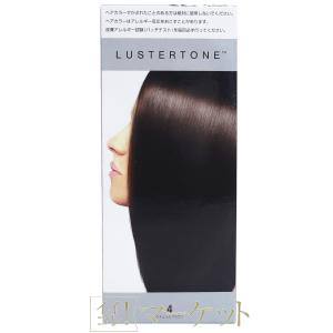 アムウェイ サテニーク ラスタートーン EX 4 ナチュラルブラウン