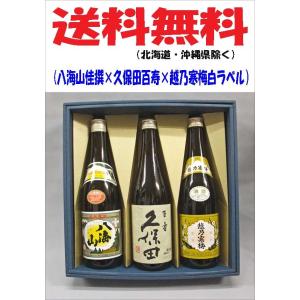 勝駒 本仕込 特別本醸造 1800ml 日本酒 （2024年9月） : 上方市場