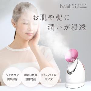 SALONIA（サロニア） ピュアブライト スチーマー 美顔器 顔 乾燥 毛穴