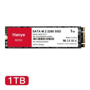 2026年2月】ssd 2tb 内蔵（Hanye）（SSDフォームファクター：M.2