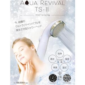 アクアリバイバルTS-II シャワーヘッド 田中金属製作所 ナノバブル