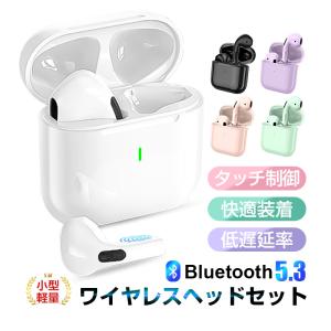 シロクマ タイムドメインライセンスモデルスピーカー myPod8 TD-1881