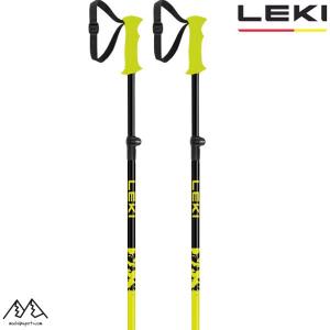 UVEX（ウベックス） レキ ジュニア用 調整式 スキーポール ストック