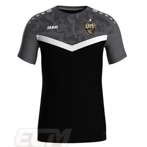 予約ECM32】【国内未発売】アイルランド代表 ホーム 長袖 プレイヤー