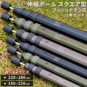 KEMEKO ケメコ テレスコカーボンポール180cm パワーツイスト-2本セット