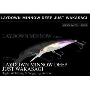 NORIES（ノリーズ） レイダウンミノー ディープ・ジャストワカサギ