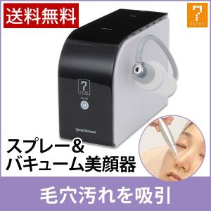 業務用 サロン用 イオン導入 美顔器 HD イオン導入器 イオン美顔器
