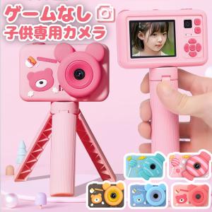 SONY ソニー DCR-TRV27 デジタルビデオカメラ miniDV 【中古品