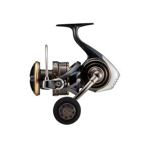 DAIWA（ダイワ） スピニングリール 25 CALDIA(カルディア) LT3000-XH