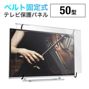 SANWA SUPPLY（サンワサプライ） テレビ 保護パネル 液晶テレビ TV