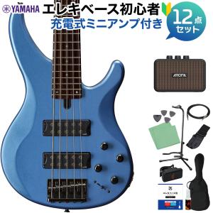 FERNANDES（フェルナンデス） FJB5-DLX PCS 5弦ベース エレキベース
