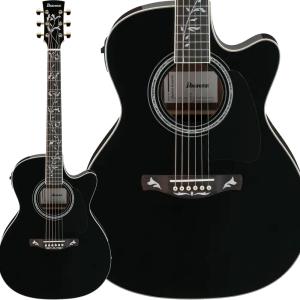 Ibanez エレキギター用 アイバニーズ ソフトケース ギターケース -c653