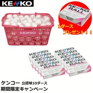 アカエム AKAEMU ソフトテニス グッズ 干支入りアカエムカプセルボール