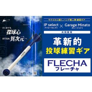 アイピーセレクト 野球 フレーチャ FLECHA トレーニング 全身を使って